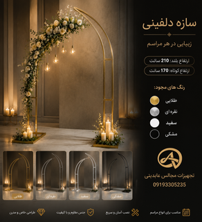 بک گراند طرح دلفینی